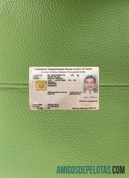 Índia Delhi Carteira de motorista fotolook frente baixar para verificação